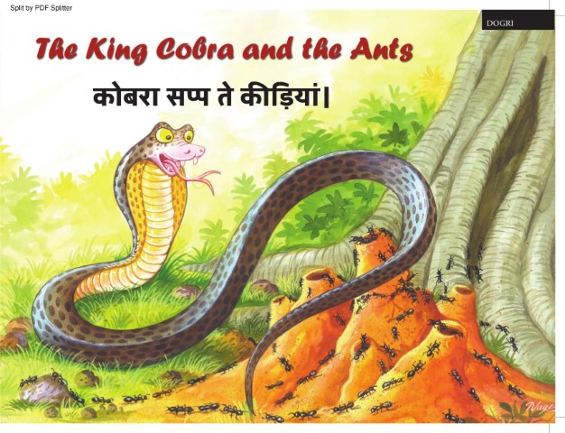 The King Cobra and the Ants